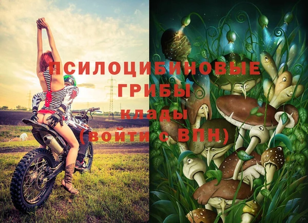 МДМА Лагань