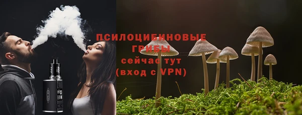 МДМА Лагань