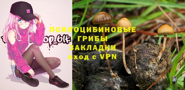 COCAINE Ладушкин