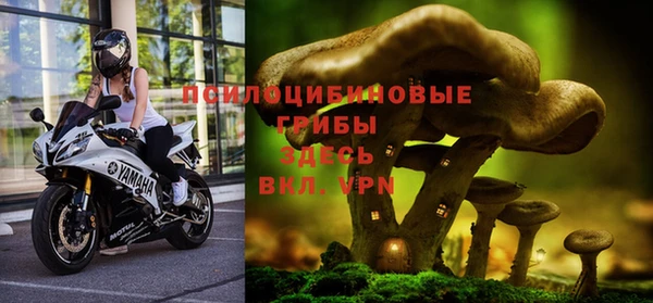 МДМА Лагань