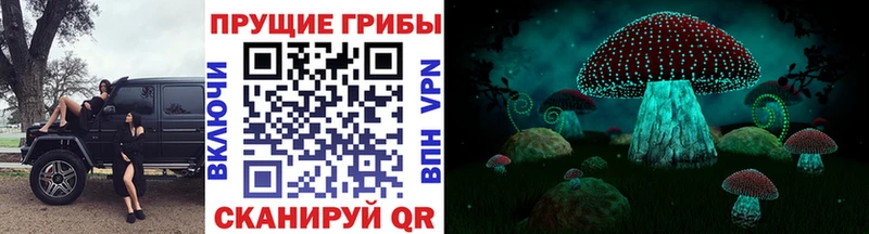 Купить где  Чулым  Псилоцибиновые грибы мухоморы 